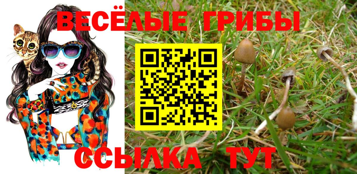 Галлюциногенные грибы MAGIC MUSHROOMS Новый Уренгой